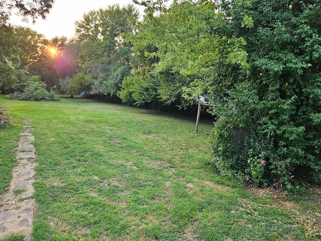 view of yard at dusk