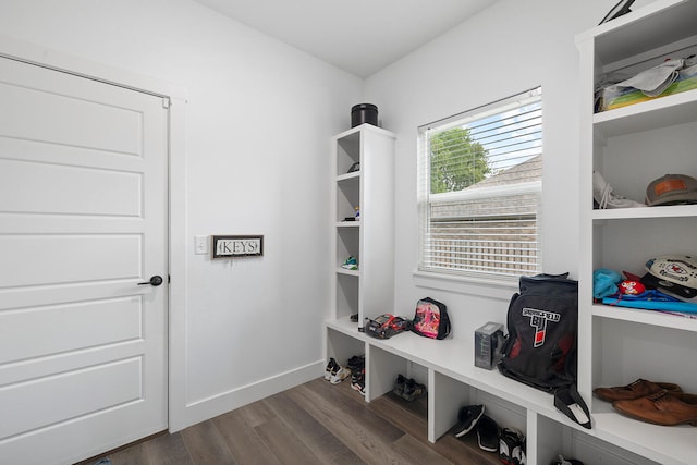 mudroom with dark wood-type flooring