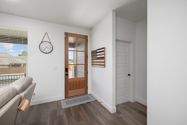 entryway featuring plenty of natural light and dark hardwood / wood-style flooring