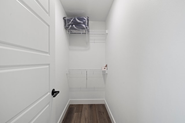 spacious closet featuring hardwood / wood-style flooring