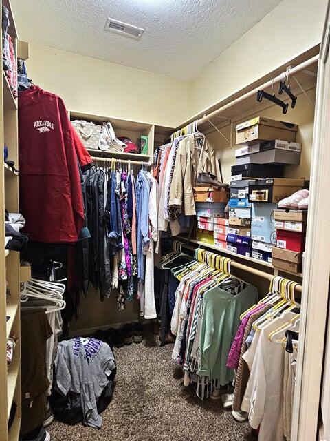 walk in closet with carpet floors