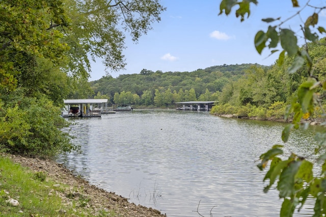 property view of water with a boat dock