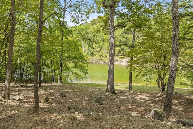 view of nature with a water view