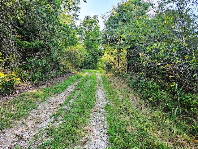 000 Whispering Meadows Ln, Marshfield, MO 65706