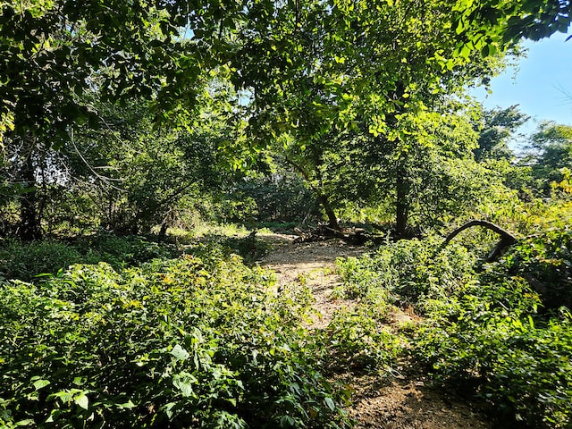000 Whispering Meadows Ln, Marshfield, MO 65706