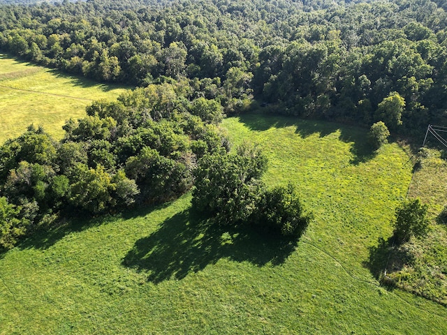 000 Whispering Meadows Ln, Marshfield, MO 65706