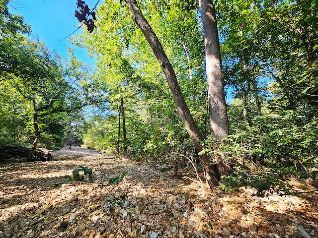 000 Whispering Meadows Ln, Marshfield, MO 65706