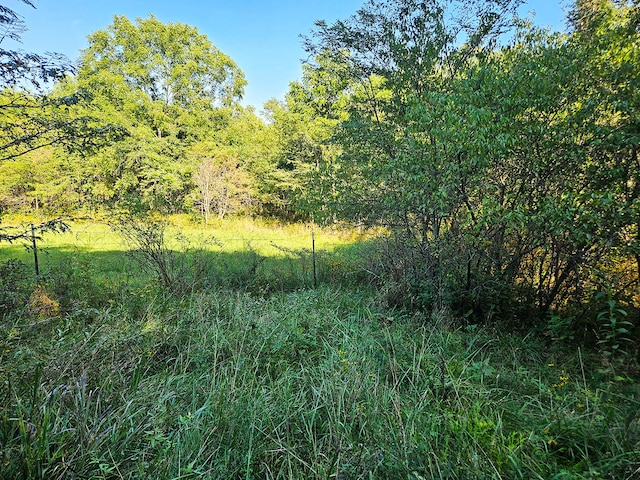 000 Whispering Meadows Ln, Marshfield, MO 65706