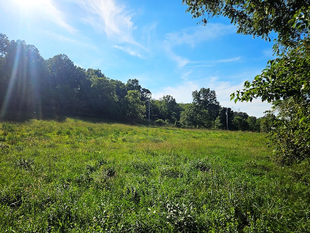000 Whispering Meadows Ln, Marshfield, MO 65706