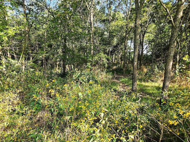 000 Whispering Meadows Ln, Marshfield, MO 65706