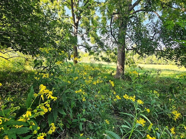 000 Whispering Meadows Ln, Marshfield, MO 65706