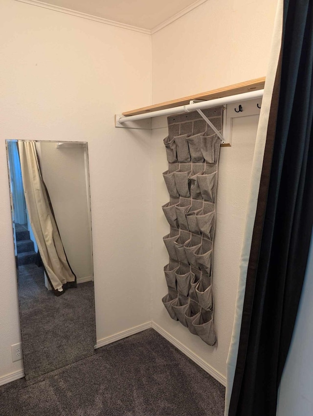 spacious closet featuring dark colored carpet