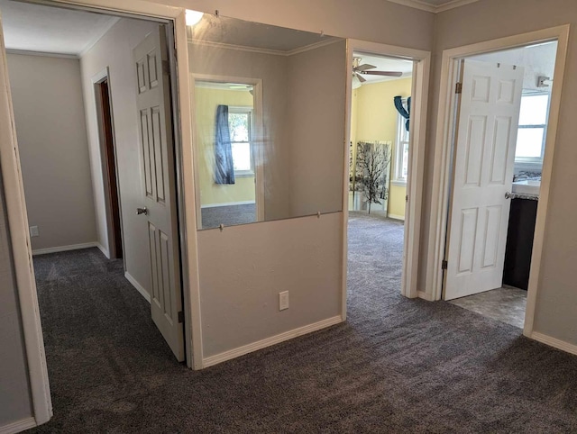 hall with crown molding, dark carpet, and a wealth of natural light