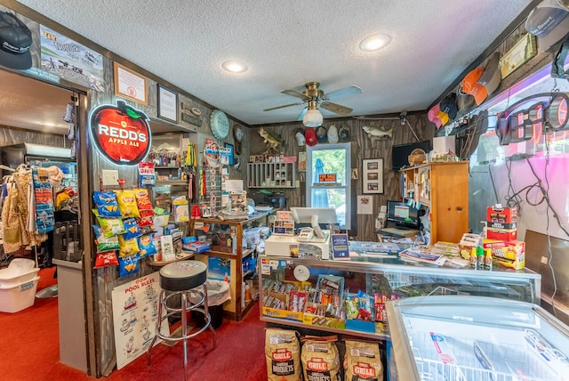 miscellaneous room with carpet flooring, a textured ceiling, and ceiling fan