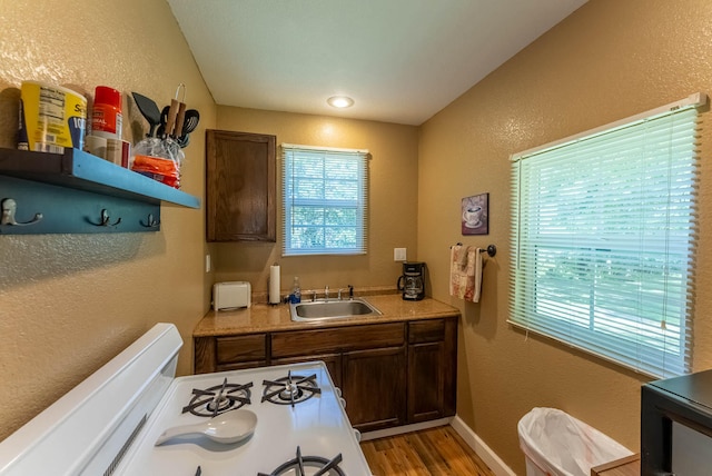 bathroom with wood-type flooring and vanity