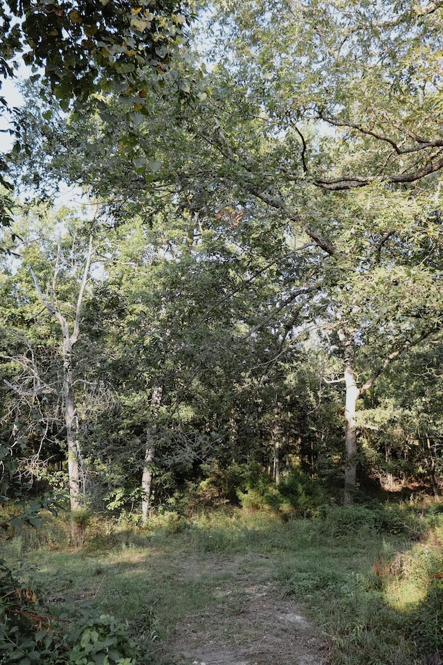 280 Forest View Dr, Seymour, MO 65746 - view of local wilderness