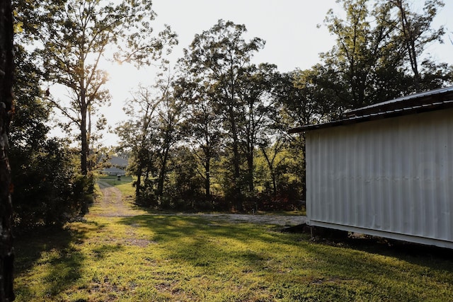 280 Forest View Dr, Seymour, MO 65746 - view of yard