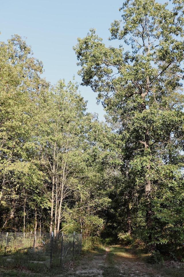 280 Forest View Dr, Seymour, MO 65746 - view of local wilderness featuring a view of trees