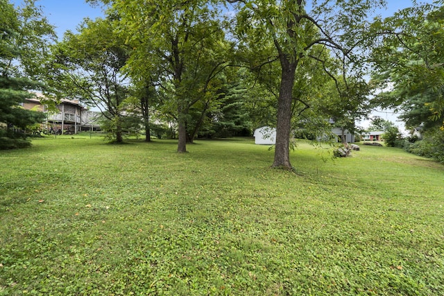 view of yard with a storage shed