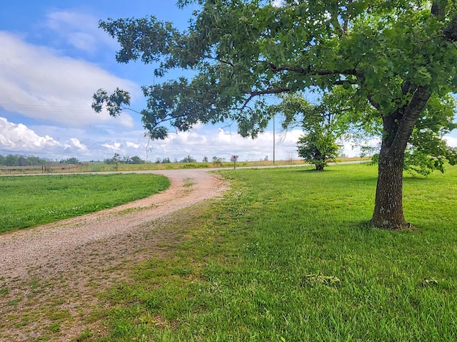 view of home's community featuring a yard and a rural view