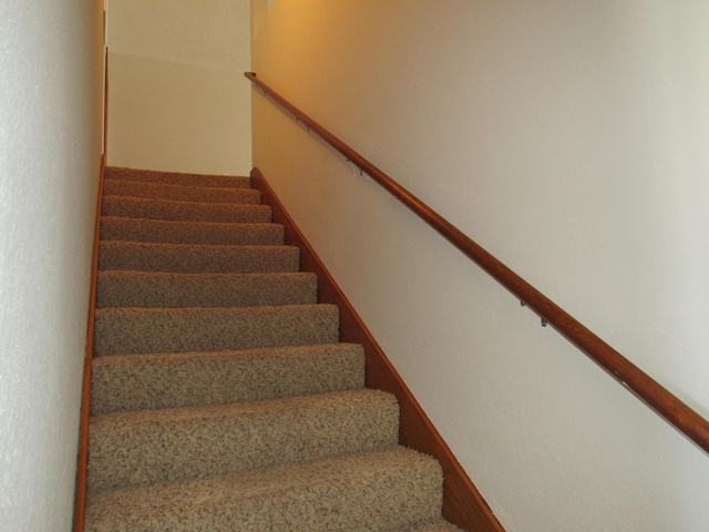 stairs with carpet floors