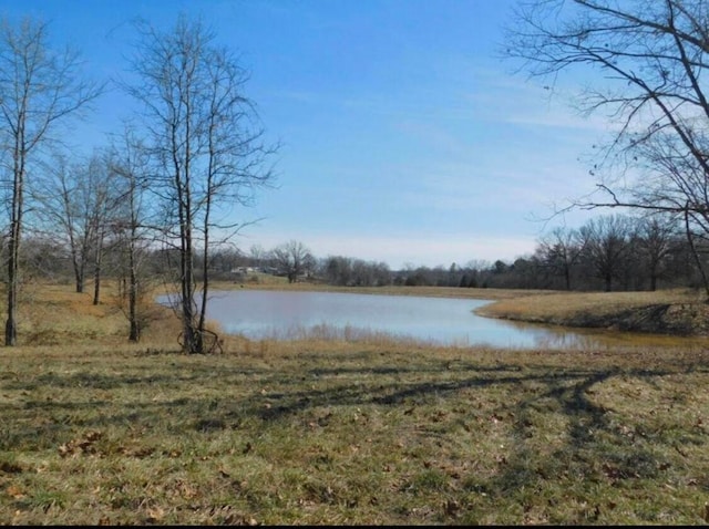 Listing photo 3 for TBD Big Deer Run Lot 9, West Plains MO 65775