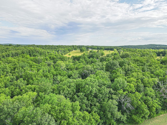 000 County Road 281, Cross Timbers MO, 65634 land for sale