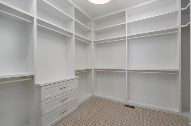 view of spacious closet