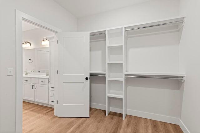 spacious closet with light wood-type flooring