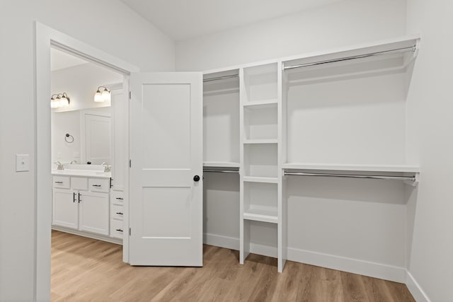 spacious closet featuring light wood-style floors
