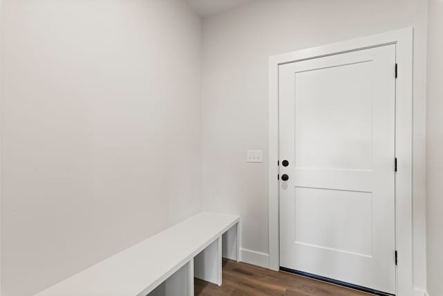 mudroom with dark wood-type flooring