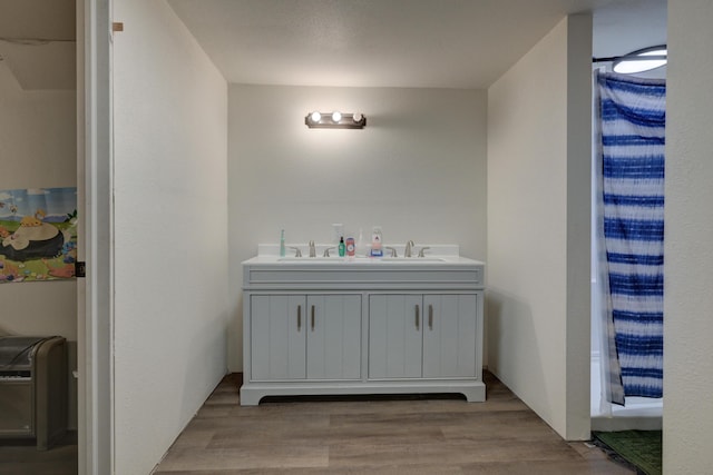 bathroom with vanity and wood-type flooring