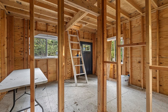 miscellaneous room with plenty of natural light