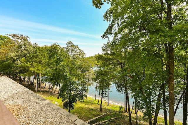 1007 Rocky Shore Ter, Kimberling City, MO 65686 - view of community with a water view