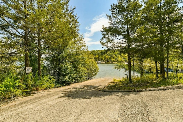 1007 Rocky Shore Ter, Kimberling City, MO 65686 - view of community featuring driveway and a water view