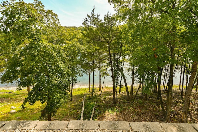 view of landscape with a water view