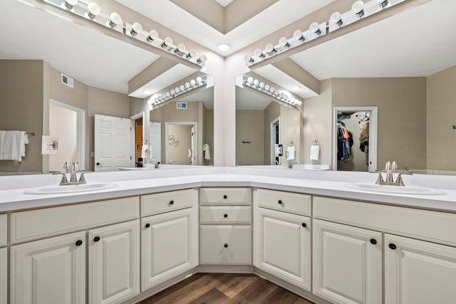 bathroom with wood-type flooring and vanity