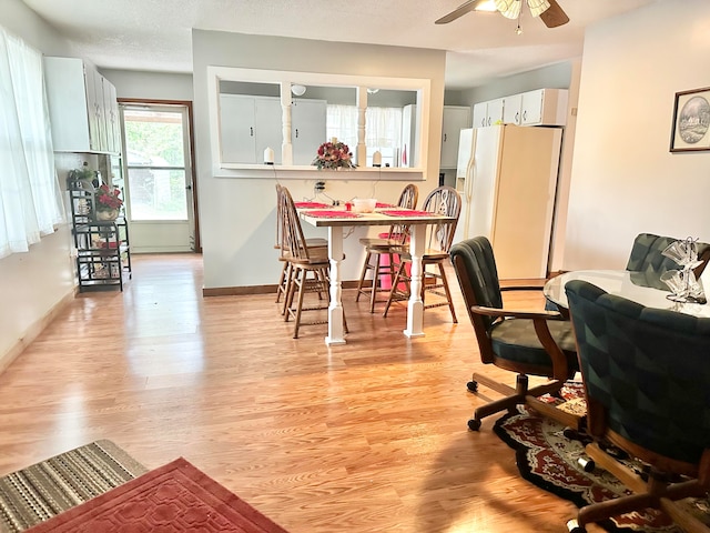 home office featuring ceiling fan, light hardwood / wood-style floors, and a textured ceiling