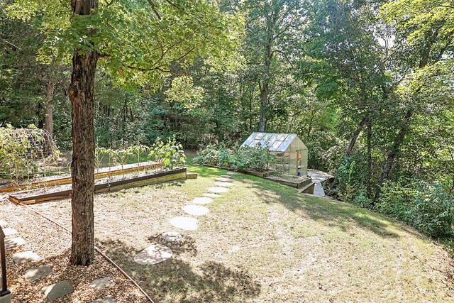 view of yard featuring a shed