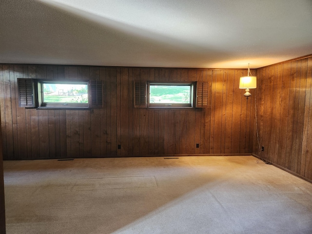 28409 Bali Rd, Warsaw, MO 65355 - spare room with a wealth of natural light, carpet, and wooden walls