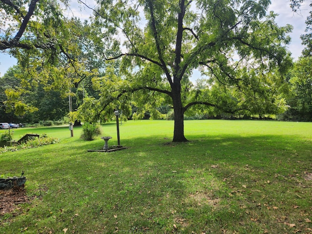 28409 Bali Rd, Warsaw, MO 65355 - view of yard