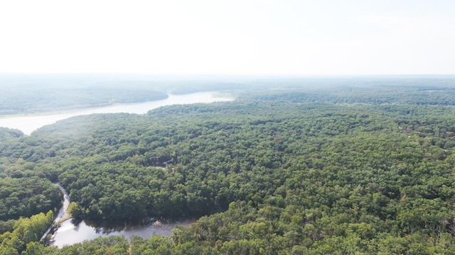 10520 County Road 237, Warsaw, MO 65355 - birds eye view of property with a forest view and a water view