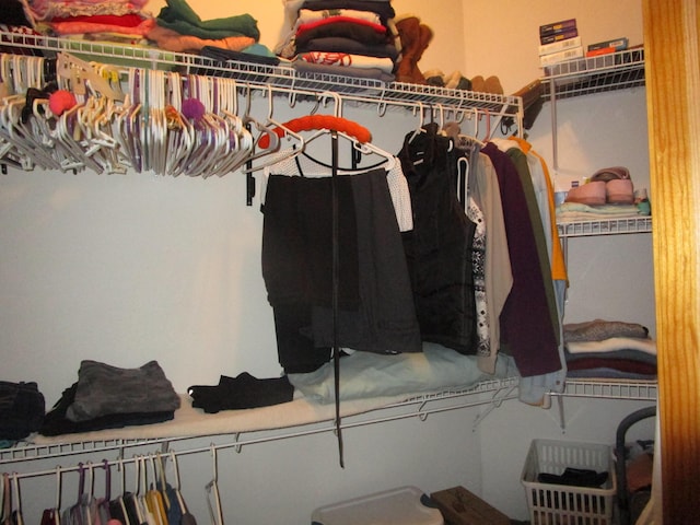 view of walk in closet