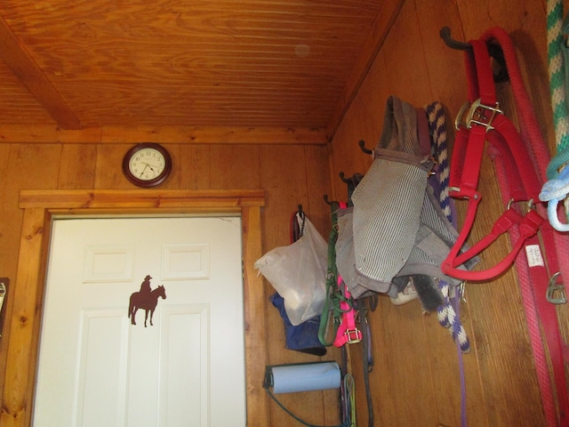 view of horse barn