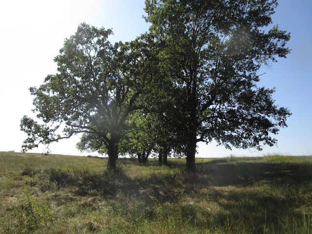 view of nature with a rural view