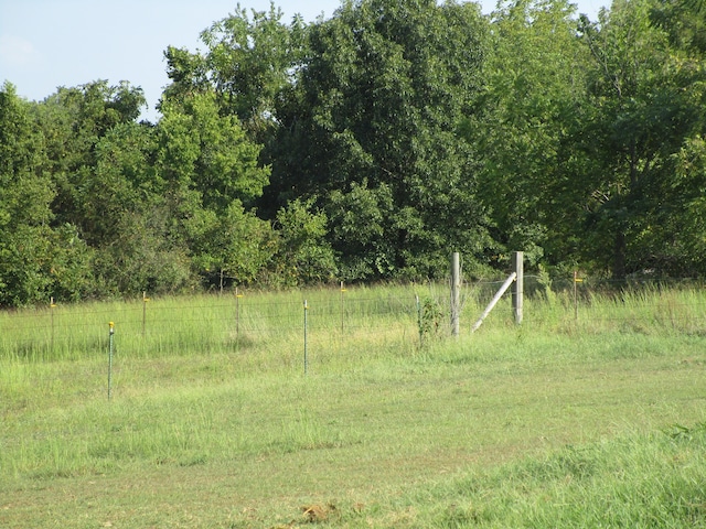 view of local wilderness