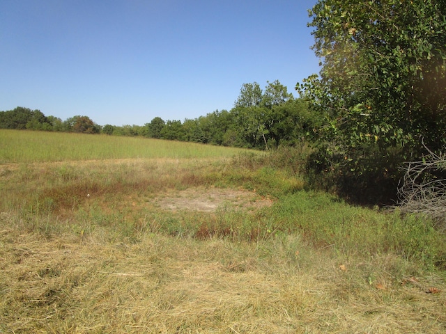 view of local wilderness