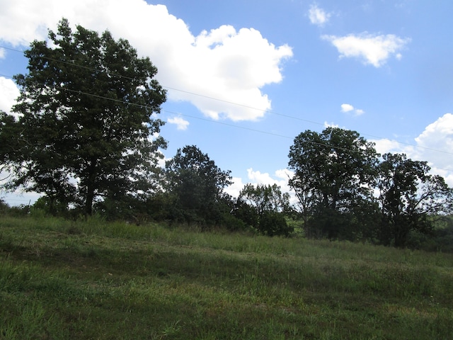 view of local wilderness