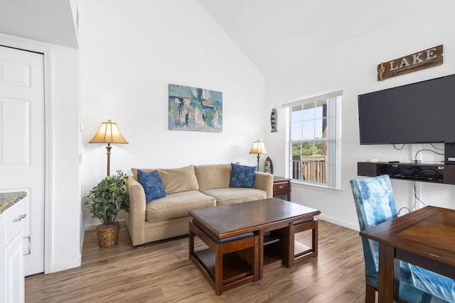 living room with wood-type flooring and high vaulted ceiling