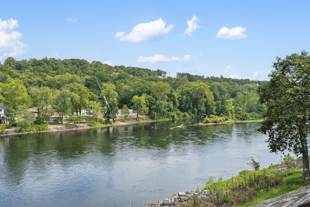 property view of water